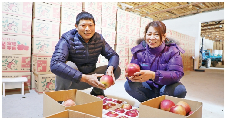 珲春市板石镇孟岭村——“红苹果”变“金苹果” 打开乡村振兴新思路