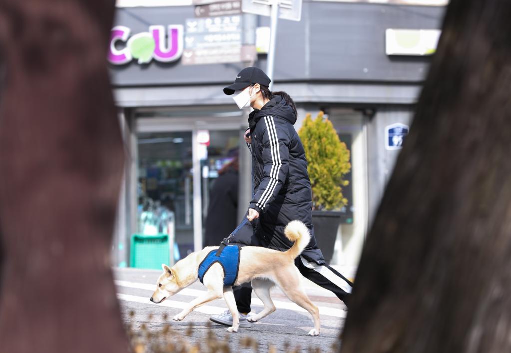 韩国宠物主克隆去世宠物引争议